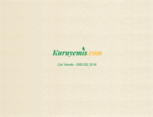 Tablet Screenshot of kuruyemis.com